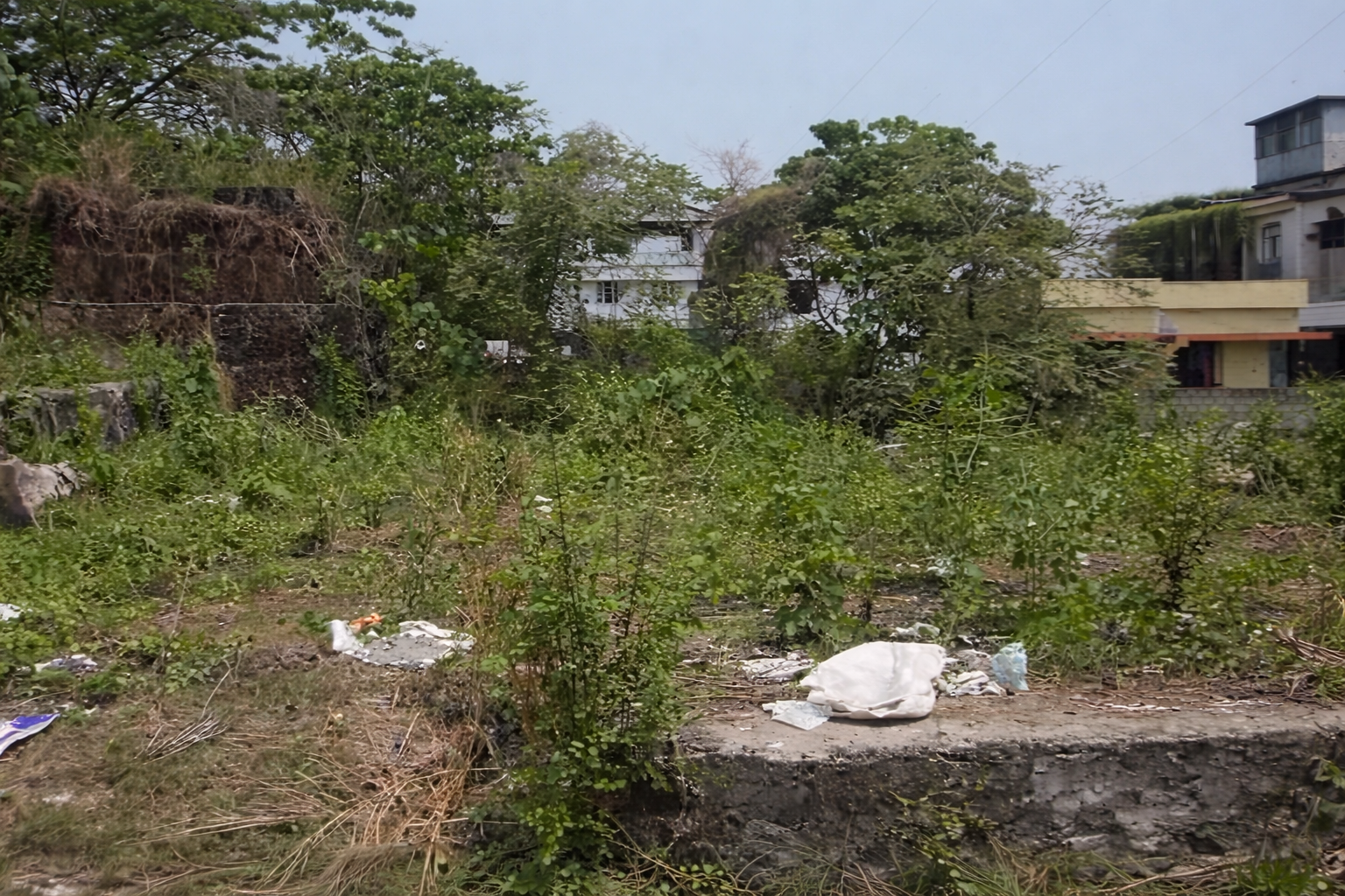 Plot for Sale in Seaport Airport Road Kochi | 3.5 Cent