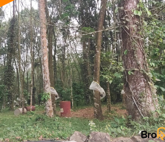 residential-plots-for-sale-kappad