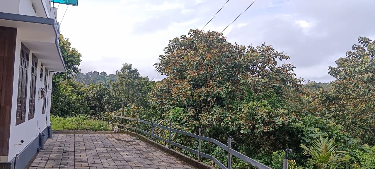 10.5 Cents of Land and a 2,000 Sq. Ft. 4-Bedroom House for Sale in Kalpetta