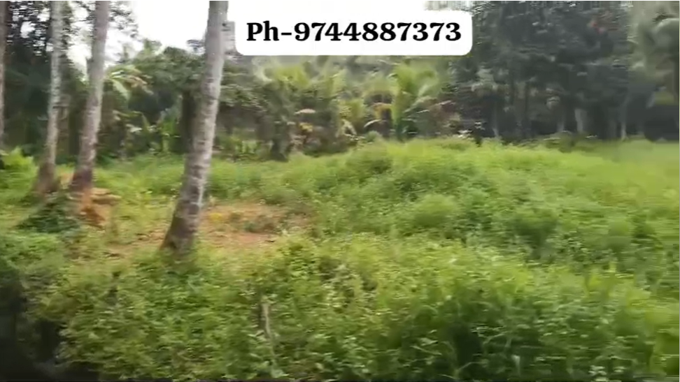 11 Cents Residential Plot for Sale Near Edanadu, Pala