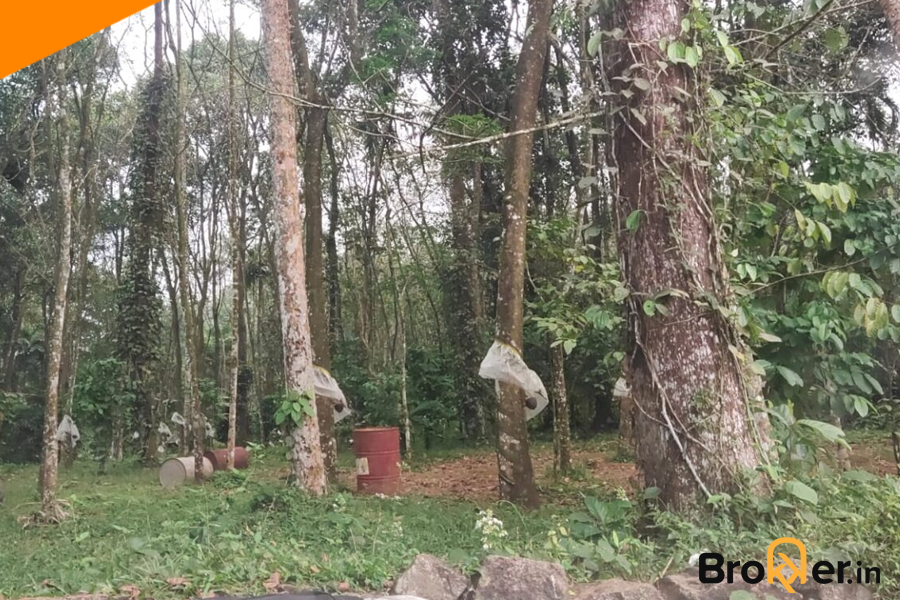 93 Cent Rubber Plantation for Sale near Kappadu, on Kanjirappally Erattupetta Road